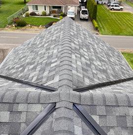 shingle roof